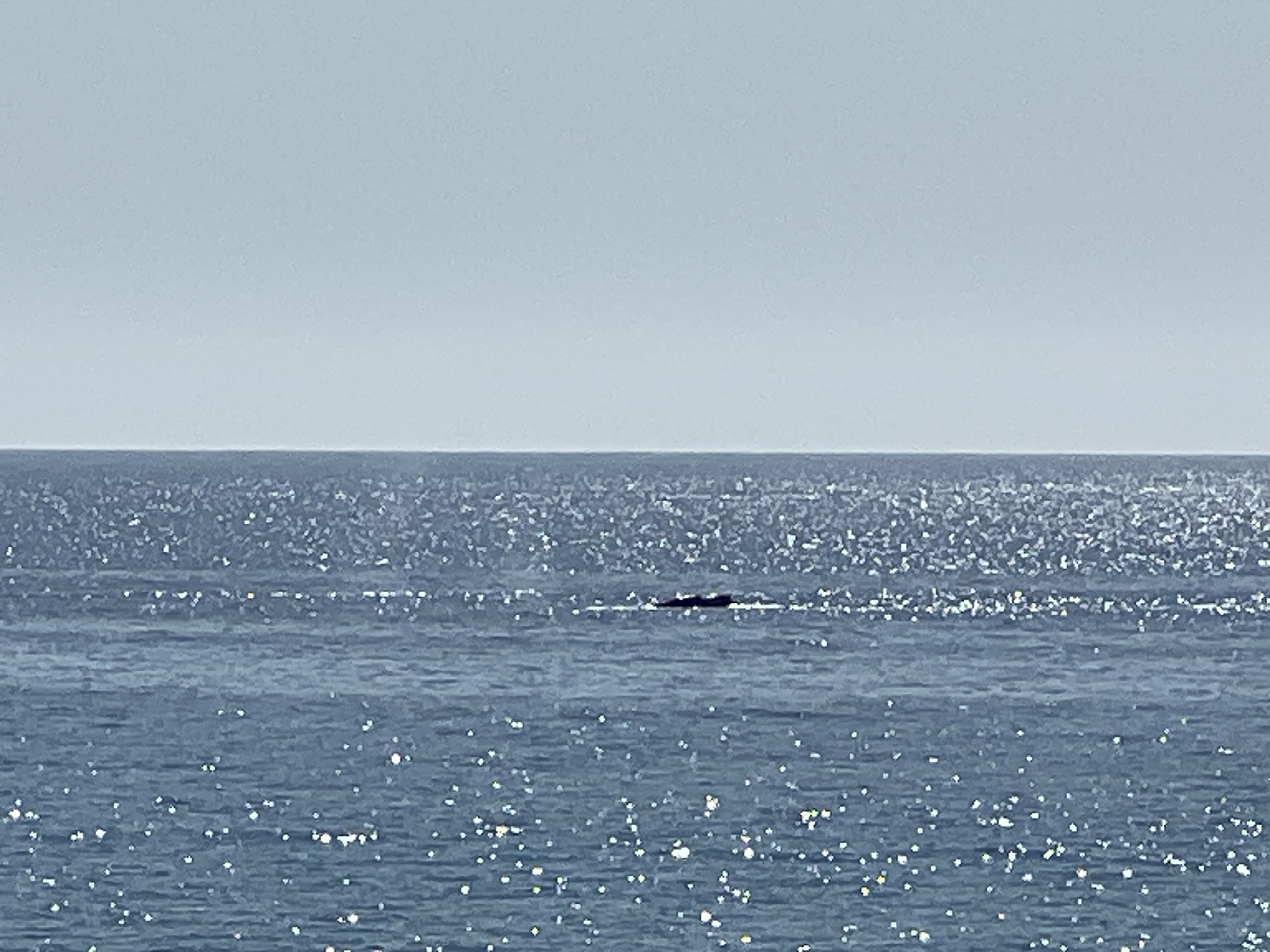 ./2024/13 - Cabo/IMG_4603.jpg